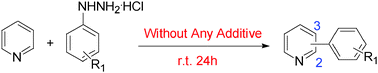 Graphical abstract: Direct arylation of pyridines without the use of a transition metal catalyst