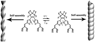 Graphical abstract: The morphology transformation from helical nanofiber to helical nanotube in a diarylethene self-assembly system