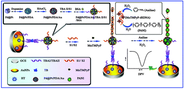 Graphical abstract: Manganese porphyrin–double stranded DNA complex guided in situ deposition of polyaniline for electrochemical thrombin detection