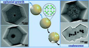 Graphical abstract: Synthesis of Au@ZIF-8 single- or multi-core–shell structures for photocatalysis