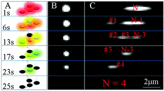Graphical abstract: Counting quantum dot aggregates for the detection of biotinylated proteins