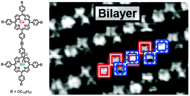 Graphical abstract: Dynamic rearrangement of bilayers of porphyrin hetero-dimers at a solid/liquid interface