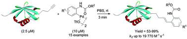 Graphical abstract: Storable N-phenylcarbamate palladacycles for rapid functionalization of an alkyne-encoded protein