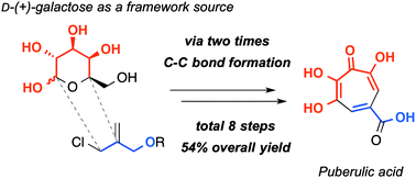 Graphical abstract: A concise total synthesis of puberulic acid, a potent antimalarial agent