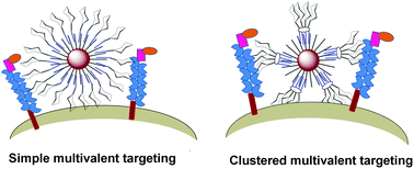 Graphical abstract: Gold nanoparticles decorated by clustered multivalent cone-glycocalixarenes actively improve the targeting efficiency toward cancer cells