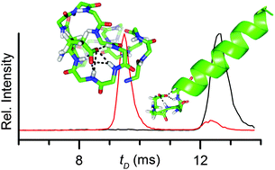 Graphical abstract: Negatively-charged helices in the gas phase