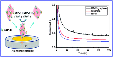 Graphical abstract: Protein electrochemistry using graphene-based nano-assembly: an ultrasensitive electrochemical detection of protein molecules via nanoparticle–electrode collisions