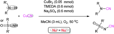 Graphical abstract: A copper-mediated oxidative N-cyanation reaction