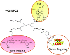 Graphical abstract: A novel Affibody bioconjugate for dual-modality imaging of ovarian cancer