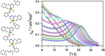 Graphical abstract: A 1D dysprosium chain with slow magnetic relaxation constructed from a pyridine-N-oxide ligand