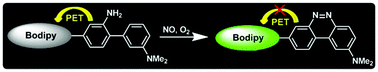 Graphical abstract: A specific fluorescent probe for NO based on a new NO-binding group