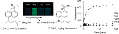 Graphical abstract: Redox-based selective fluorometric detection of homocysteine