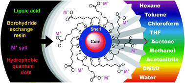 Graphical abstract: Modulation of the solubility of luminescent semiconductor nanocrystals through facile surface functionalization