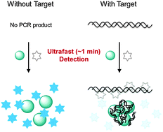 Graphical abstract: Ultrafast colorimetric detection of nucleic acids based on the inhibition of the oxidase activity of cerium oxide nanoparticles