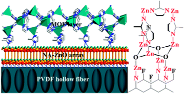Graphical abstract: Non-activation ZnO array as a buffering layer to fabricate strongly adhesive metal–organic framework/PVDF hollow fiber membranes