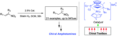 Graphical abstract: Enantioselective hydrogenation of α,β-disubstituted nitroalkenes