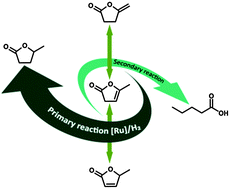 Graphical abstract: Efficient, solvent-free hydrogenation of α-angelica lactone catalysed by Ru/C at atmospheric pressure and room temperature