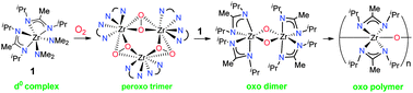 Graphical abstract: Reactions of zirconium amide amidinates with dioxygen. Observation of an unusual peroxo intermediate in the formation of oxo compounds