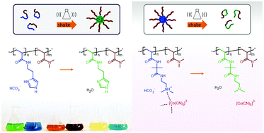 Graphical abstract: Mechano-responsive polymer solutions based on CO2 supersaturation: shaking-induced phase transitions and self-assembly or dissociation of polymeric nanoparticles