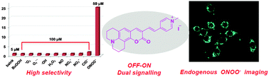 Graphical abstract: A highly selective water-soluble optical probe for endogenous peroxynitrite