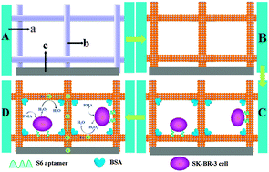 Graphical abstract: Electrochemical device based on a Pt nanosphere-paper working electrode for in situ and real-time determination of the flux of H2O2 releasing from SK-BR-3 cancer cells
