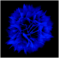 Graphical abstract: WS2 2D nanosheets in 3D nanoflowers
