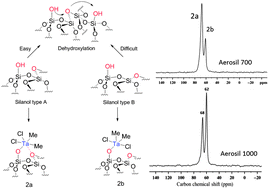 Graphical abstract: The use of a well-defined surface organometallic complex as a probe molecule: [( [[triple bond, length as m-dash]] SiO)TaVCl2Me2] shows different isolated silanol sites on the silica surface