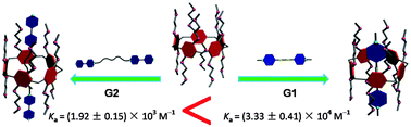 Graphical abstract: Formation of a [2]pseudorotaxane based on a pillar[5]arene and a rigid guest in solution and in the solid state