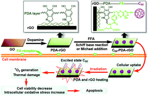 Graphical abstract: Facile fabrication of a C60–polydopamine–graphene nanohybrid for single light induced photothermal and photodynamic therapy