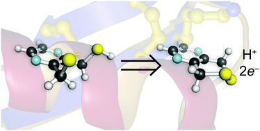 Graphical abstract: Pyrazine-derived disulfide-reducing agent for chemical biology