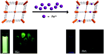 Graphical abstract: Nanoscale metal–organic frameworks as highly sensitive luminescent sensors for Fe2+ in aqueous solution and living cells