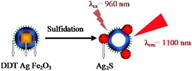 Graphical abstract: Ag2S-hollow Fe2O3 nanocomposites with NIR photoluminescence