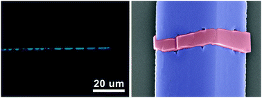 Graphical abstract: The synthesis of organic charge transfer hetero-microtubules by crack welding