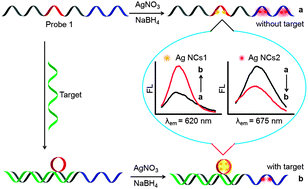 Graphical abstract: DNA-regulated silver nanoclusters for label-free ratiometric fluorescence detection of DNA