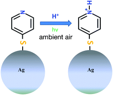 Graphical abstract: Local protonation control using plasmonic activation