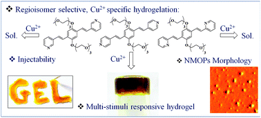 Graphical abstract: Pyridylenevinylene based Cu2+-specific, injectable metallo(hydro)gel: thixotropy and nanoscale metal–organic particles