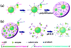 Graphical abstract: Towards intelligent bioreactor systems: triggering the release and mixing of compounds based on DNA-functionalized hybrid hydrogel