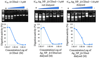 Graphical abstract: Large negatively charged organic host molecules as inhibitors of endonuclease enzymes