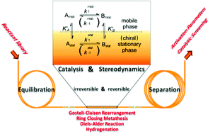 Graphical abstract: From stereodynamics to high-throughput screening of catalysed reactions