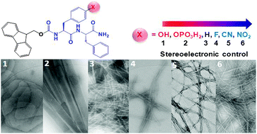 Graphical abstract: Tuneable Fmoc–Phe–(4-X)–Phe–NH2 nanostructures by variable electronic substitution