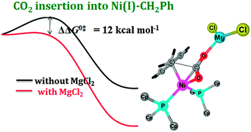 Graphical abstract: The crucial roles of MgCl2 as a non-innocent additive in the Ni-catalyzed carboxylation of benzyl halide with CO2