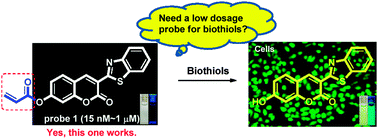 Graphical abstract: A low dose, highly selective and sensitive colorimetric and fluorescent probe for biothiols and its application in bioimaging