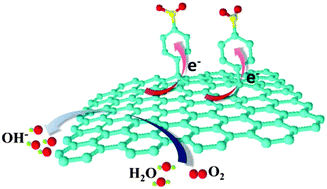 Graphical abstract: Molecular doping of graphene as metal-free electrocatalyst for oxygen reduction reaction