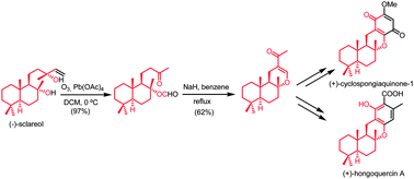 Graphical abstract: A short synthetic route towards merosesquiterpenes with a benzoxanthene skeleton