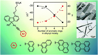 Graphical abstract: Tunable self-assembly properties of amphiphilic phosphole alkynylgold(i) complexes through variation of the extent of the aromatic π-surface at the alkynyl moieties