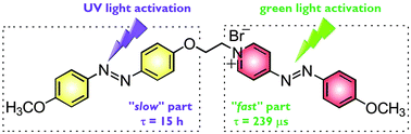 Graphical abstract: A photoswitchable bis-azo derivative with a high temporal resolution