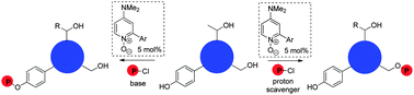 Graphical abstract: Highly efficient and selective phosphorylation of amino acid derivatives and polyols catalysed by 2-aryl-4-(dimethylamino)pyridine-N-oxides – towards kinase-like reactivity