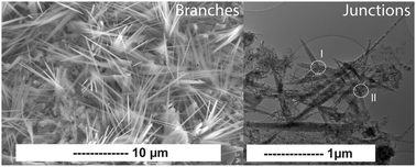 Graphical abstract: High yield, controlled synthesis of graphitic networks from dense micro emulsions