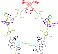 Graphical abstract: A six-component metallosupramolecular pentagon via self-sorting