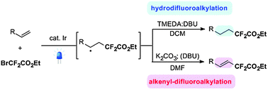 Graphical abstract: Selective difluoroalkylation of alkenes by using visible light photoredox catalysis